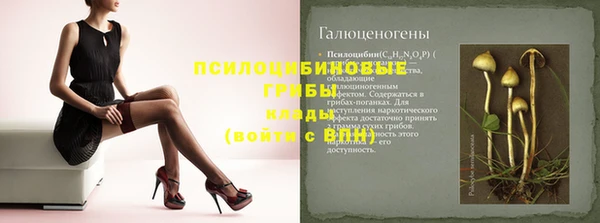 apvp Всеволожск