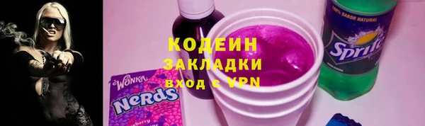 2c-b Пестово