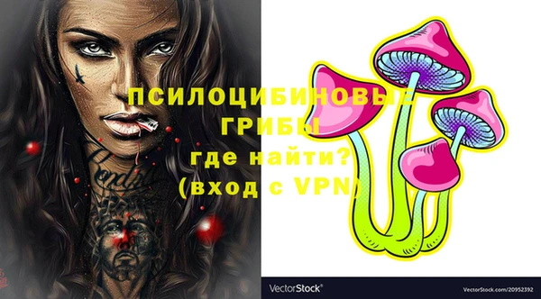 дурь Пересвет